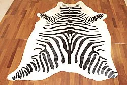 Zebra 14